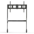 VB-STND-005