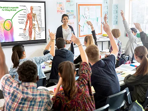 students raising their hands in a biology classroom