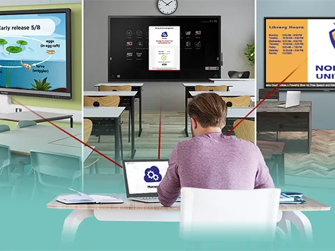 someone on a laptop connecting to three different display types