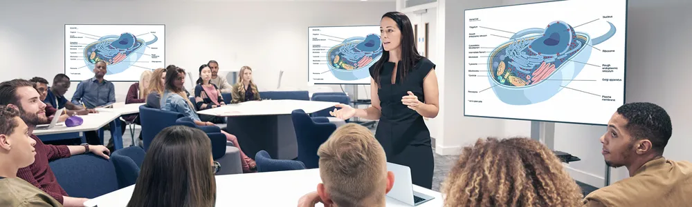 someone giving a presentation on the cell while using a viewboard